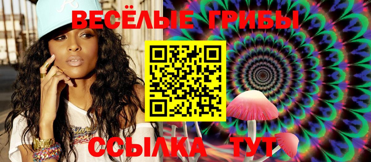 Псилоцибиновые грибы GOLDEN TEACHER  Вход с VPN  Псилоцибиновые грибы мухоморы  Балахна 